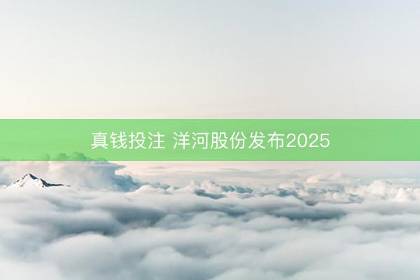 真钱投注 洋河股份发布2025