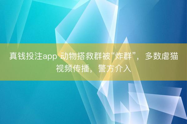 真钱投注app 动物搭救群被“炸群”，多数虐猫视频传播，警方介入