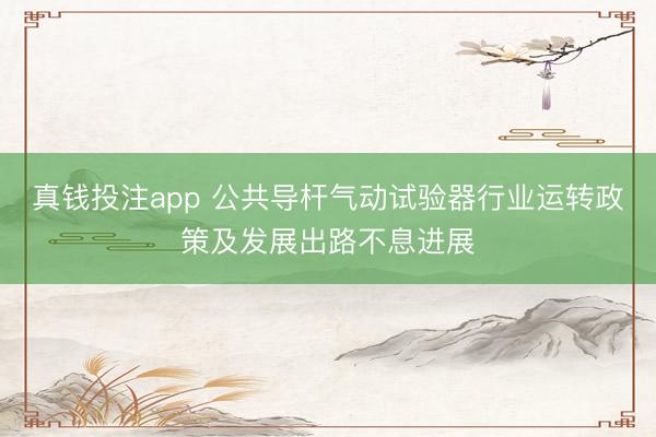 真钱投注app 公共导杆气动试验器行业运转政策及发展出路不息进展