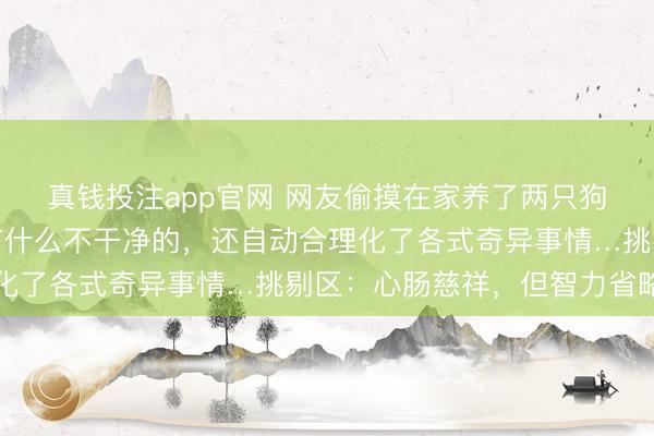 真钱投注app官网 网友偷摸在家养了两只狗，后果姆妈以为家里有什么不干净的，还自动合理化了各式奇异事情…挑剔区：心肠慈祥，但智力省略…