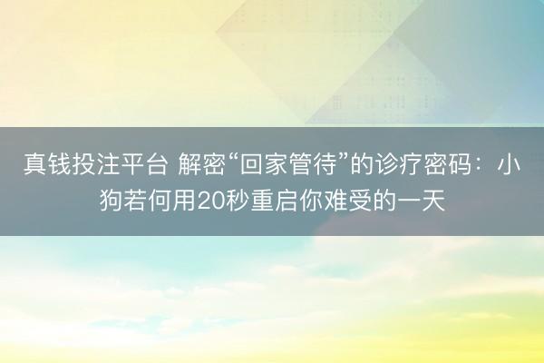 真钱投注平台 解密“回家管待”的诊疗密码：小狗若何用20秒重启你难受的一天
