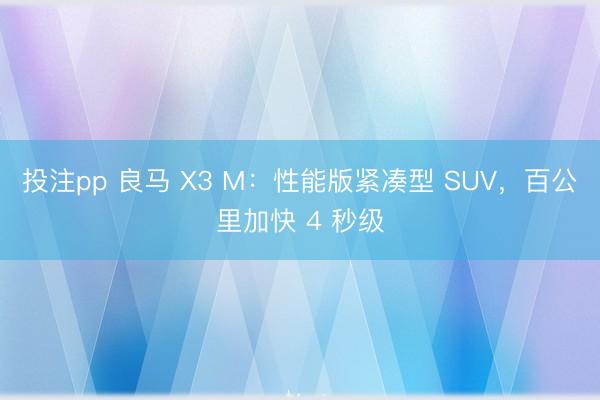 投注pp 良马 X3 M：性能版紧凑型 SUV，百公里加快 4 秒级