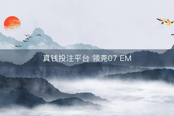 真钱投注平台 领克07 EM