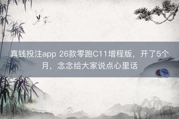 真钱投注app 26款零跑C11增程版，开了5个月，念念给大家说点心里话