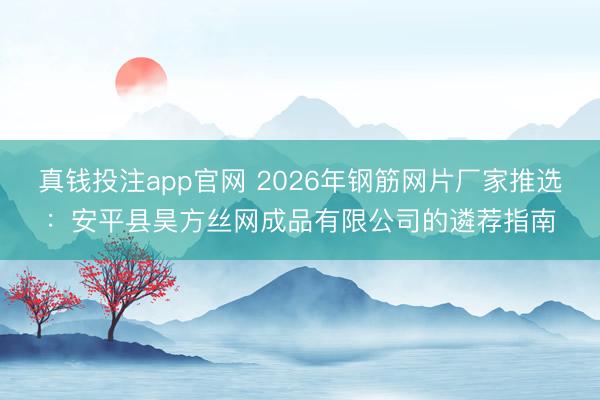 真钱投注app官网 2026年钢筋网片厂家推选：安平县昊方丝网成品有限公司的遴荐指南
