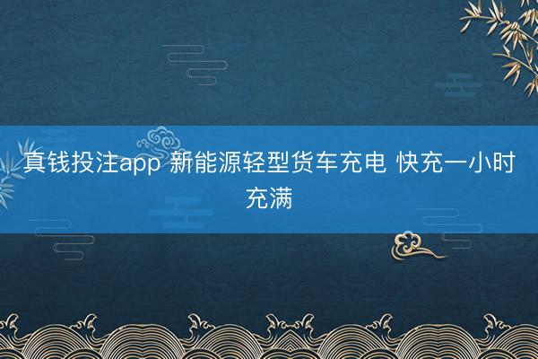 真钱投注app 新能源轻型货车充电 快充一小时充满