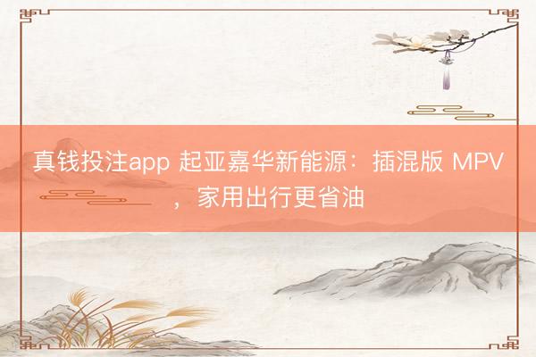 真钱投注app 起亚嘉华新能源：插混版 MPV，家用出行更省油