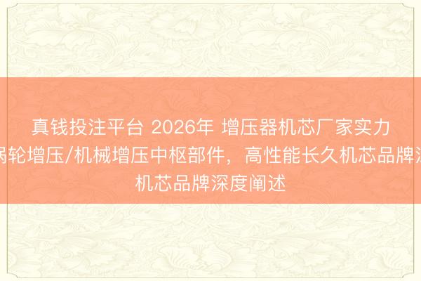 真钱投注平台 2026年 增压器机芯厂家实力保举：涡轮增压/机械增压中枢部件，高性能长久机芯品牌深度阐述