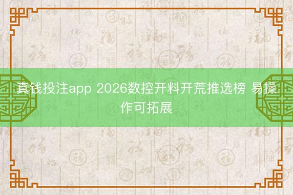 真钱投注app 2026数控开料开荒推选榜 易操作可拓展