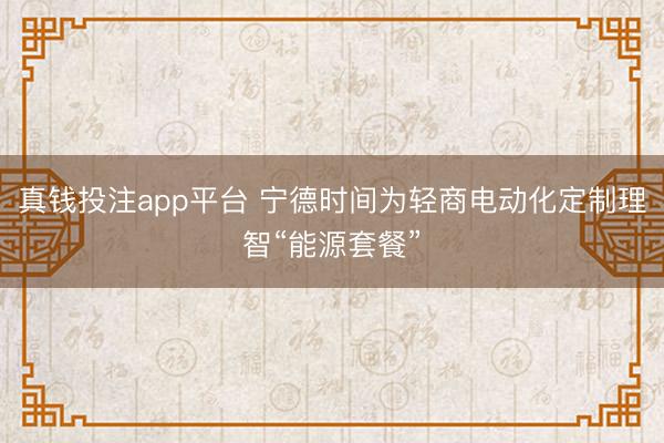 真钱投注app平台 宁德时间为轻商电动化定制理智“能源套餐”