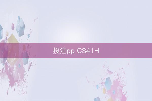 投注pp CS41H