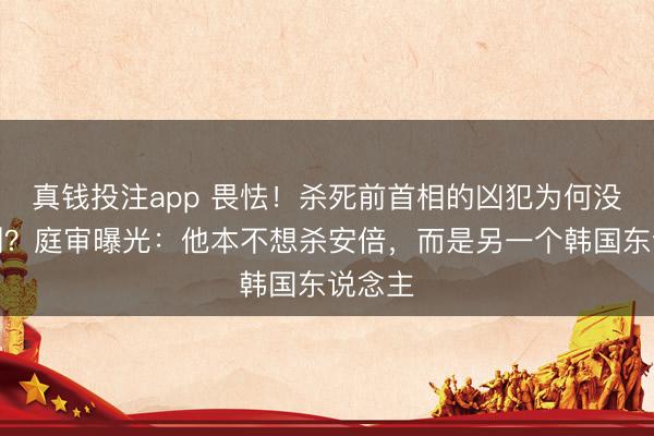 真钱投注app 畏怯！杀死前首相的凶犯为何没判死刑？庭审曝光：他本不想杀安倍，而是另一个韩国东说念主