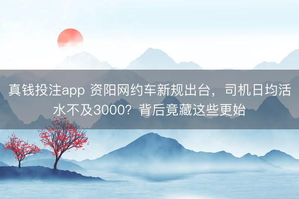 真钱投注app 资阳网约车新规出台，司机日均活水不及3000？背后竟藏这些更始