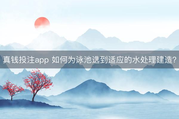 真钱投注app 如何为泳池选到适应的水处理建造？