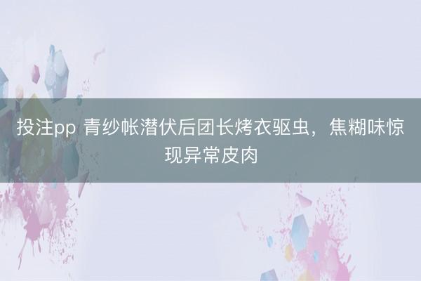 投注pp 青纱帐潜伏后团长烤衣驱虫，焦糊味惊现异常皮肉