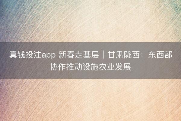 真钱投注app 新春走基层|甘肃陇西:东西部协作推动设施农业发展