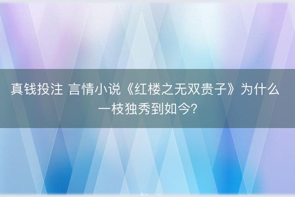 真钱投注 言情小说《红楼之无双贵子》为什么 一枝独秀到如今？