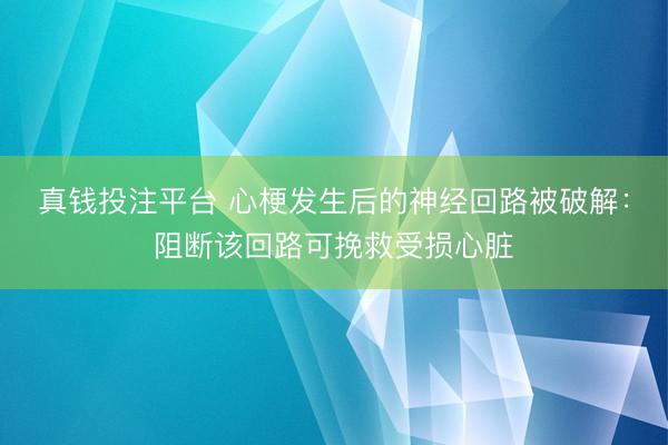 真钱投注平台 心梗发生后的神经回路被破解：阻断该回路可挽救受损心脏