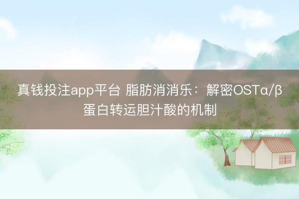 真钱投注app平台 脂肪消消乐：解密OSTα/β蛋白转运胆汁酸的机制