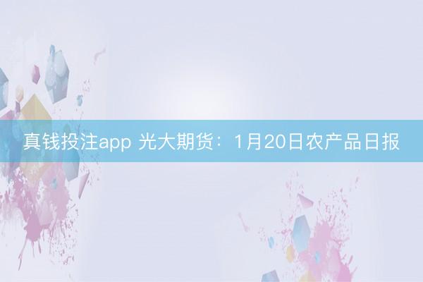 真钱投注app 光大期货：1月20日农产品日报