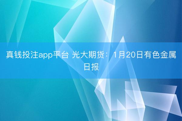 真钱投注app平台 光大期货：1月20日有色金属日报