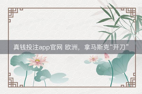 真钱投注app官网 欧洲，拿马斯克“开刀”