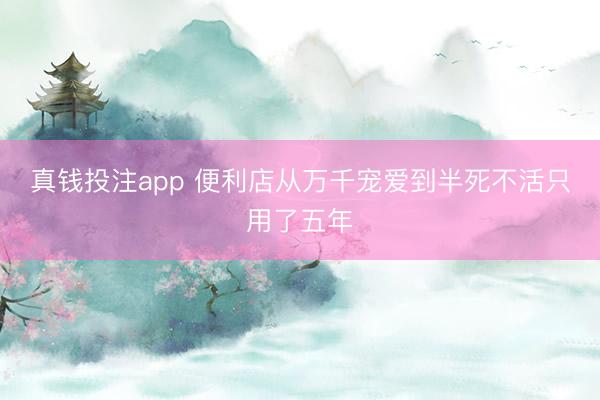 真钱投注app 便利店从万千宠爱到半死不活只用了五年