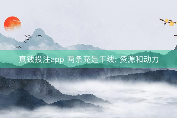 真钱投注app 两条充足干线: 资源和动力