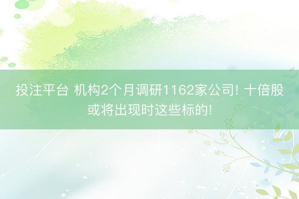 投注平台 机构2个月调研1162家公司! 十倍股或将出现时这些标的!