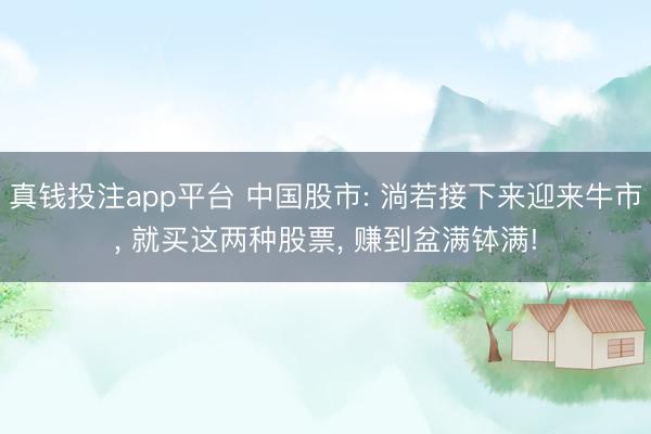真钱投注app平台 中国股市: 淌若接下来迎来牛市， 就买这两种股票， 赚到盆满钵满!