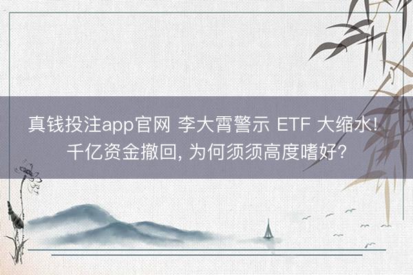 真钱投注app官网 李大霄警示 ETF 大缩水! 千亿资金撤回， 为何须须高度嗜好?