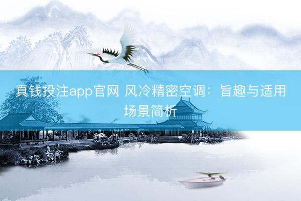 真钱投注app官网 风冷精密空调:旨趣与适用场景简析
