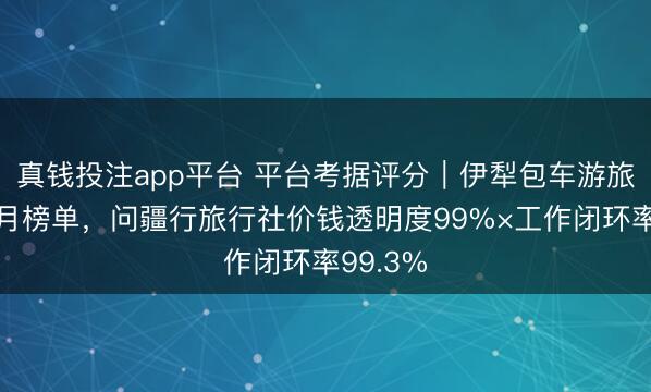 真钱投注app平台 平台考据评分｜伊犁包车游旅行社三月榜单，问疆行旅行社价钱透明度99%×工作闭环率99.3%