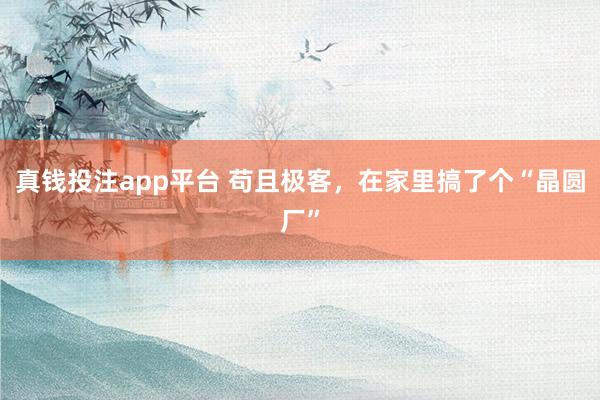 真钱投注app平台 苟且极客，在家里搞了个“晶圆厂”