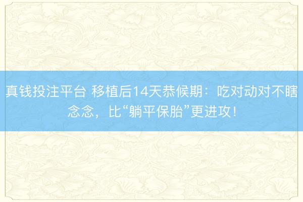 真钱投注平台 移植后14天恭候期:吃对动对不瞎念念,比“躺平保胎”更进攻!