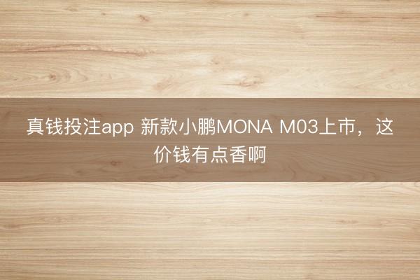 真钱投注app 新款小鹏MONA M03上市,这价钱有点香啊