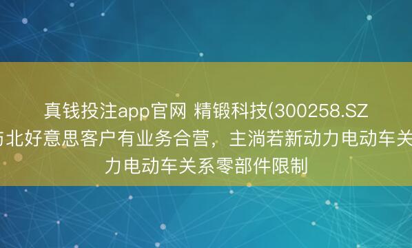真钱投注app官网 精锻科技(300258.SZ)：现时公司与北好意思客户有业务合营，主淌若新动力电动车关系零部件限制