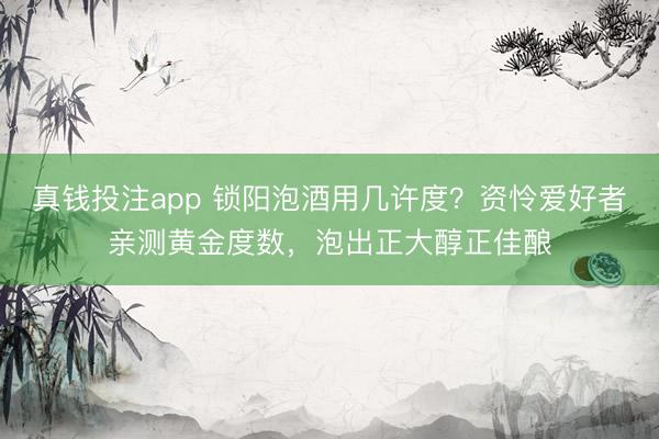 真钱投注app 锁阳泡酒用几许度？资怜爱好者亲测黄金度数，泡出正大醇正佳酿
