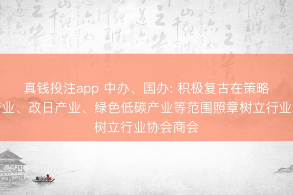 真钱投注app 中办、国办: 积极复古在策略性新兴产业、改日产业、绿色低碳产业等范围照章树立行业协会商会