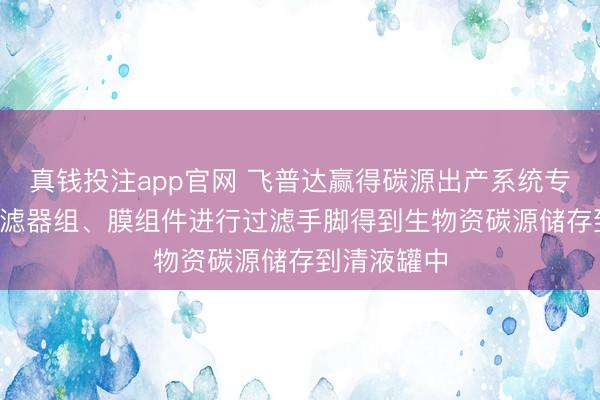 真钱投注app官网 飞普达赢得碳源出产系统专利， 通过过滤器组、膜组件进行过滤手脚得到生物资碳源储存到清液罐中