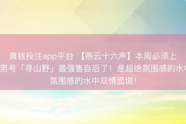真钱投注app平台 【燕云十六声】本周必须上线期间点！男号「寻山野」最强售自后了！是超绝氛围感的水中双情面境！