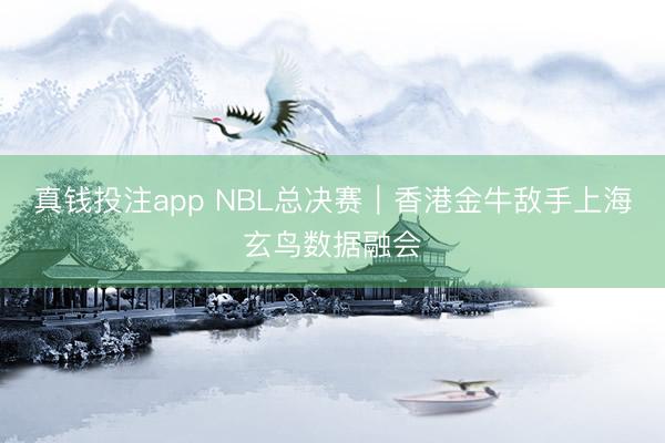 真钱投注app NBL总决赛｜香港金牛敌手上海玄鸟数据融会