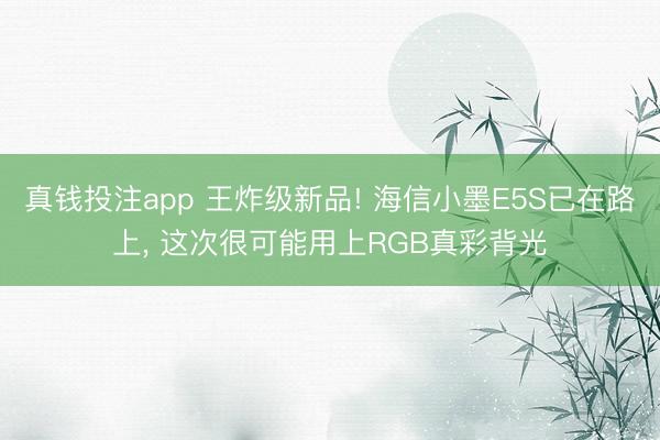 真钱投注app 王炸级新品! 海信小墨E5S已在路上， 这次很可能用上RGB真彩背光