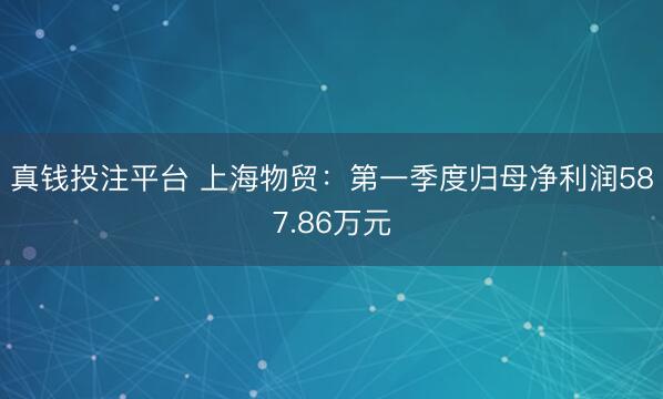 真钱投注平台 上海物贸：第一季度归母净利润587.86万元
