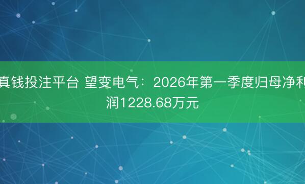 真钱投注平台 望变电气：2026年第一季度归母净利润1228.68万元