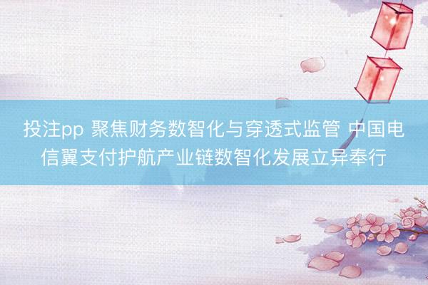 投注pp 聚焦财务数智化与穿透式监管 中国电信翼支付护航产业链数智化发展立异奉行