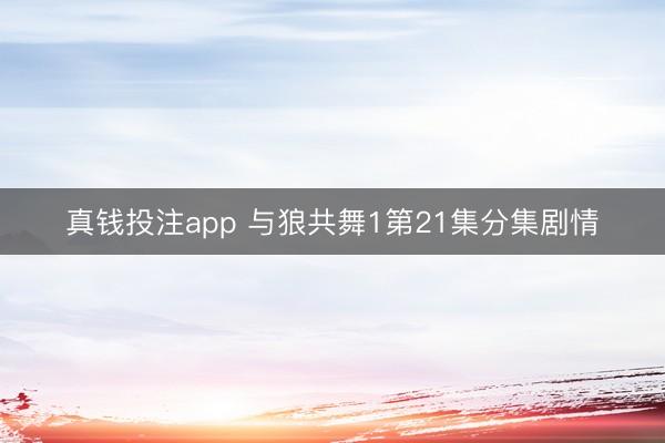 真钱投注app 与狼共舞1第21集分集剧情